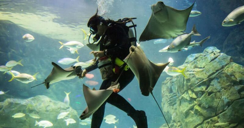 Montreal: 3-Day Toronto, Niagara Falls, Thousand Islands - Who Should Consider This Tour?