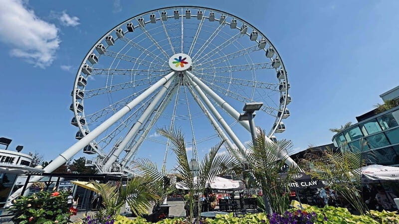 Montreal 3-Hour Private Car Tour with Expert Local Guide - Exploring Montreal in Just 3 Hours: An In-Depth Review