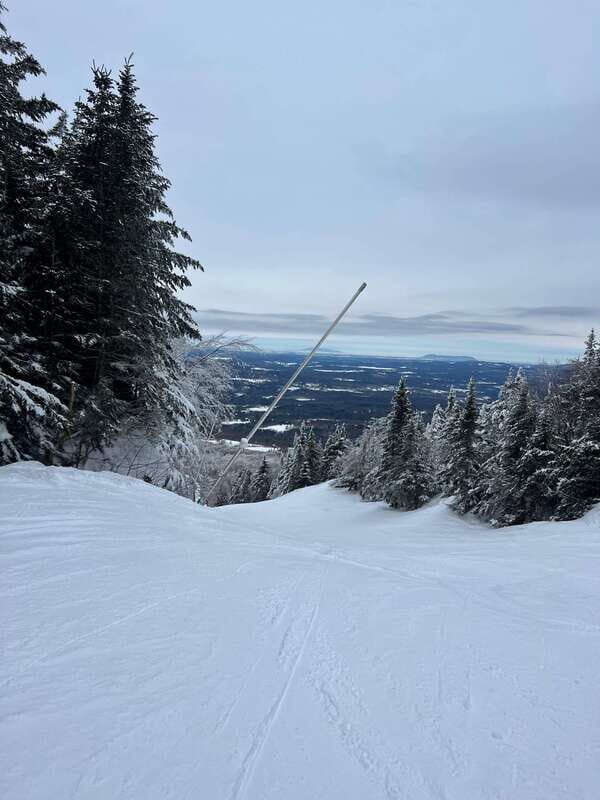 Montreal: Canadian Forest Guided Tour by Snowmobile - Value and Practical Considerations