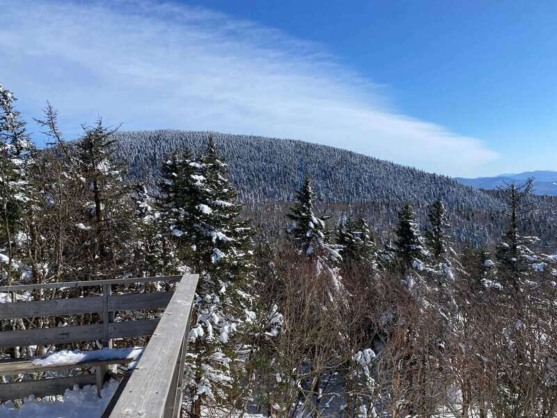 Montreal: Canadian Forest Guided Tour by Snowmobile - Who Should Consider This Tour?