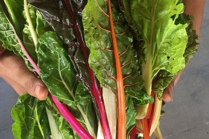 Montreal Cooking Class and Wine with Michelin-Star Trained Chef - FAQ