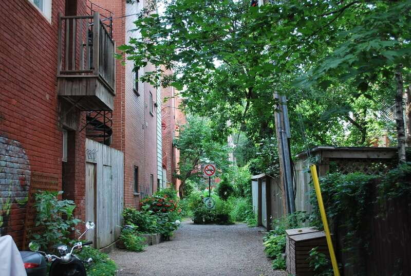 Montreal: Full-Day Small Group City Tour - Final Thoughts