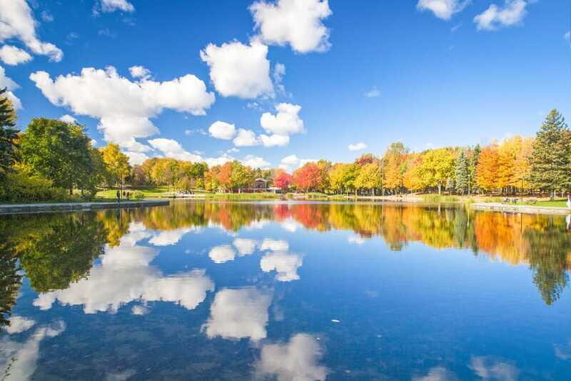 Montreal: Guided Bus Tour - Who Will Enjoy This Tour?