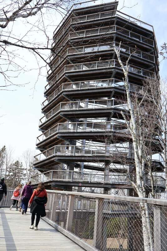 Montreal: Guided tour of the Laurentides Mont Tremblant - The bottom line