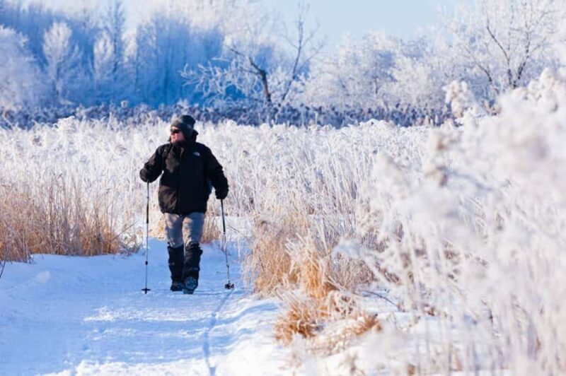 Montreal: Îles-de-Boucherville Entry Ticket and Snowshoeing - Key Points