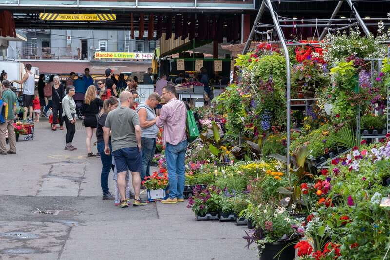 Montreal: Jean-Talon Market & Little Italy Highlights Tour - An In-Depth Look At the Montreal Jean-Talon Market & Little Italy Tour