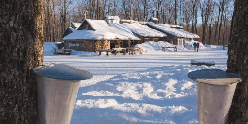 Montreal: Maple Syrup Tour with Sugar Shack & Local Cuisine - A Deep Dive into the Montreal Maple Syrup Tour