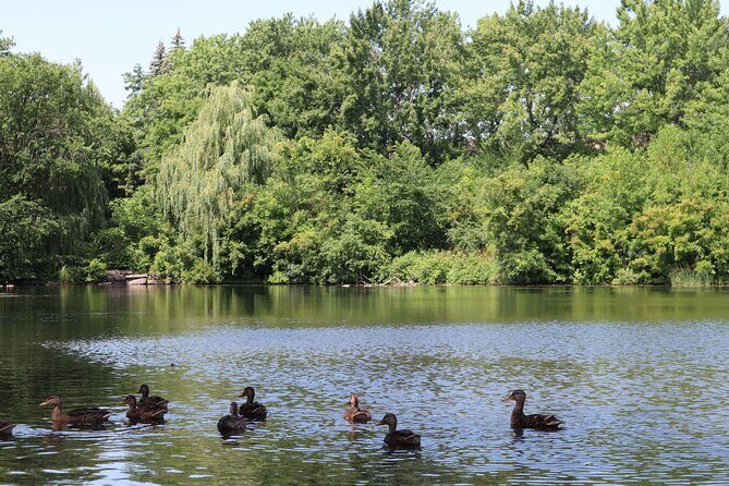 Montreal Mindfulness Walking Tour Experience - A Detailed Look at the Montreal Mindfulness Walking Tour