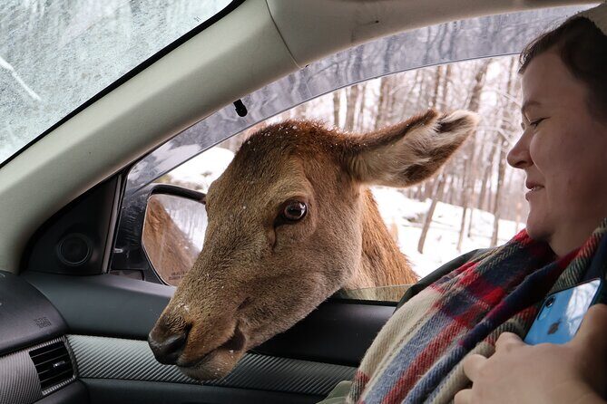 Montreal: Omega Park Canadian Wildlife Safari Adventure - Key Points