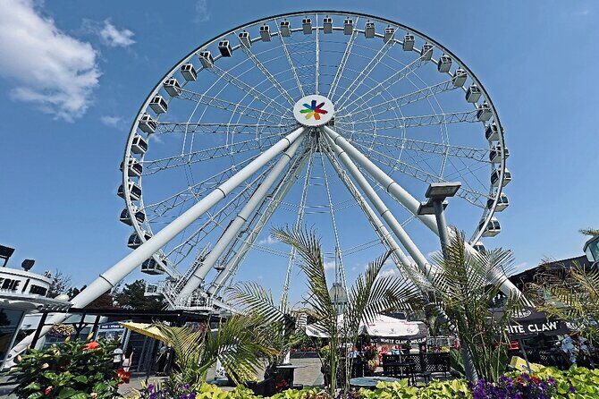 Montreal Private Walking Tour to Downtown RESO and Old Montreal - Old Montreal: The Charm of Cobblestone Streets