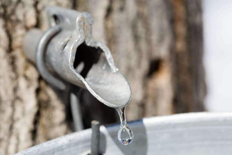 Montreal: Sugar Shack Maple Syrup Day Trip with Lunch - Exploring the Tour Itself: What to Expect