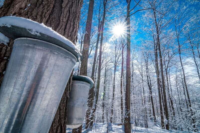 Montreal: Sugar Shack Maple Syrup Day Trip with Lunch - Frequently Asked Questions