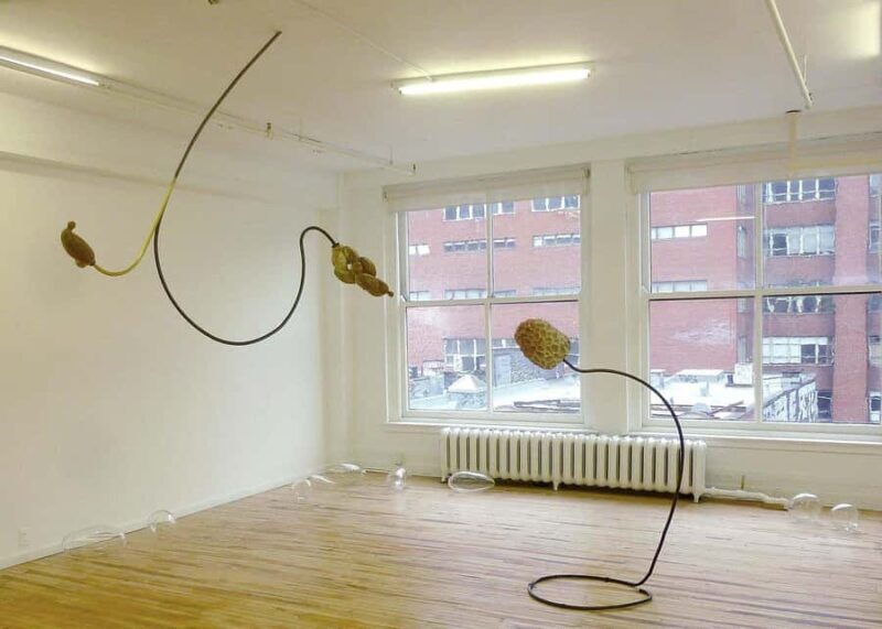 Montreal: The Belgo Galleries Guided Tour - Practical Details: Price, Duration, and Accessibility