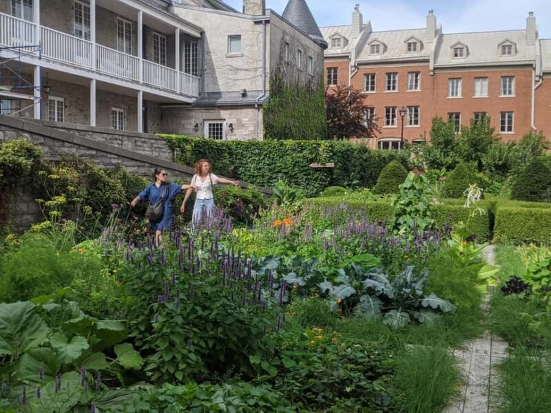 Montréal: The Original Old Montréal Walking Tour - Key Points