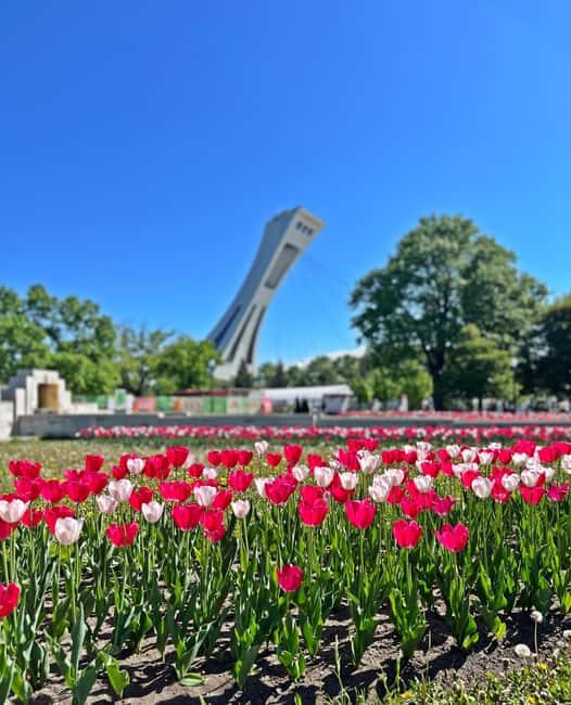 Montreal: Walking Tour 2h Downtown, RESO and Old Montreal - Key Points
