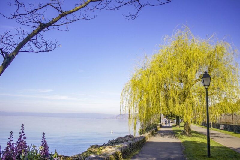 Montreux: Express Walk with a Local in 60 minutes - An In-Depth Look at the Montreux Express Walk