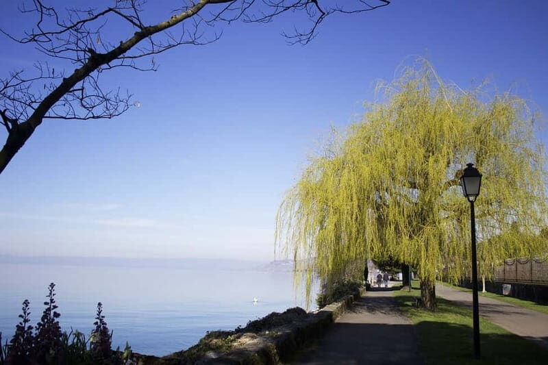 Montreux - Private Walking Tour - Exploring the Montreux Private Walking Tour in Detail
