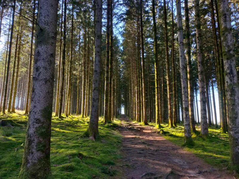 Monts de Guéret: Guided hike to the summit of Maupuy - Key Points