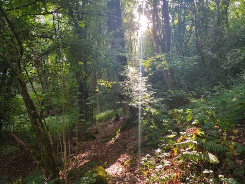 Monts de Guéret: Guided hike to the summit of Maupuy - Why This Tour Is Worth It