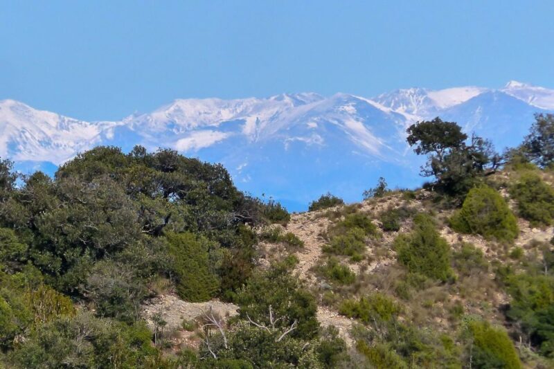 Montserrat: 6-Hour Tour with a Choice of 3 Levels of Hiking - Exploring Montserrat: A Personalized Hiking Adventure in Catalonia