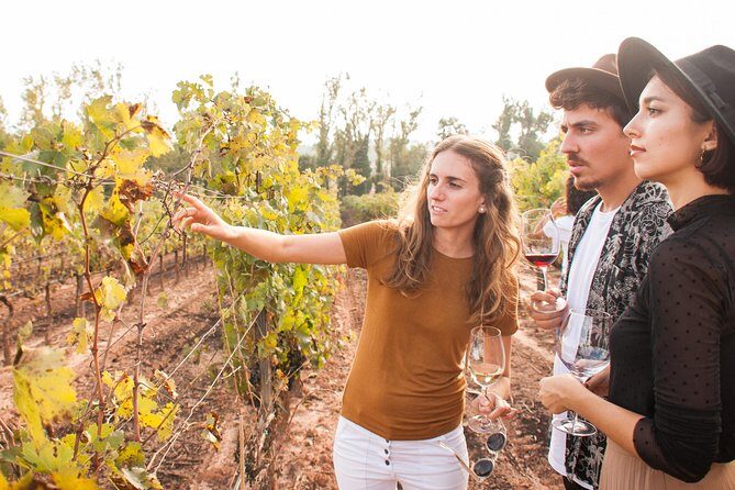 Montserrat & Cogwheel Train, Gourmet Wine Tasting & Tapas/Lunch - Frequently Asked Questions