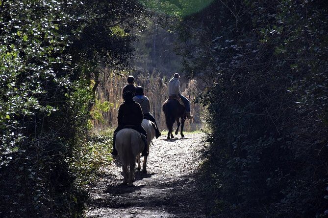 Montserrat Horseback Riding & Monastery Small Group Tour - Final Thoughts: Is This Tour Right for You?