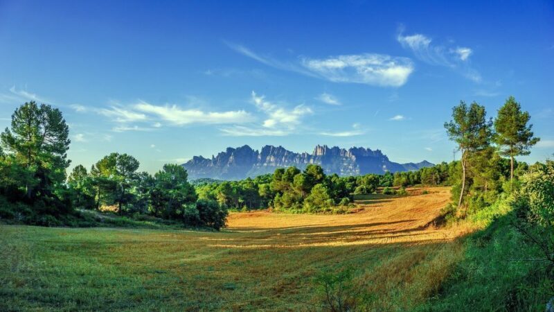 Montserrat: Private Half-Day Tour from Barcelona - What to Expect on the Tour