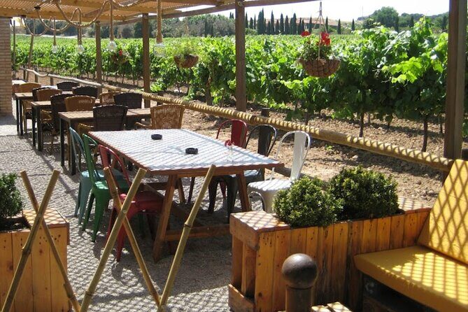 Montserrat & Winery Visit Tour with Traditional Farmhouse Lunch - A Closer Look at the Experience