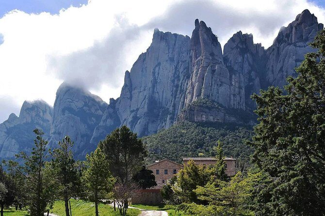 Montserrat,Vineyard, Wine Tasting Small Group Tour & Hotel Pickup - Exploring Cava Towns and Local Culture