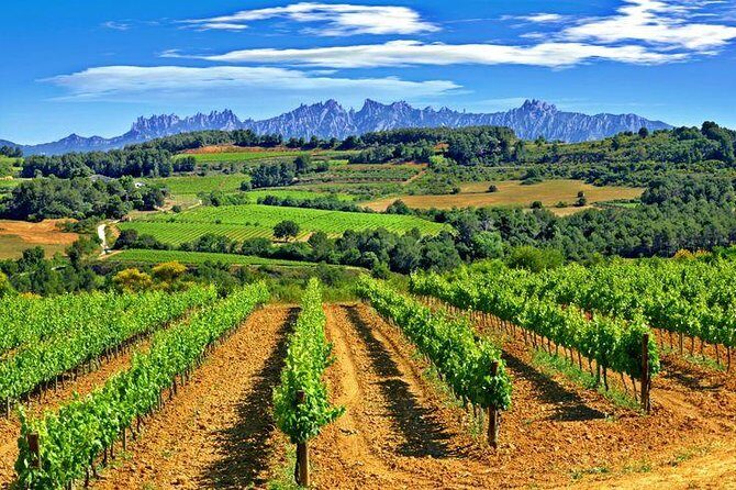 Montserrat,Vineyard, Wine Tasting Small Group Tour & Hotel Pickup - Practical Details and Considerations