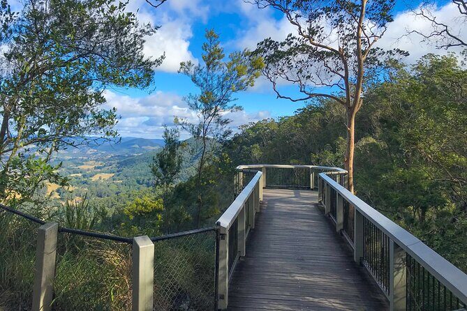 Montville, Maleny and Sunshine Coast Hinterland Tour with Lunch - An In-Depth Look at the Sunshine Coast Hinterland Experience