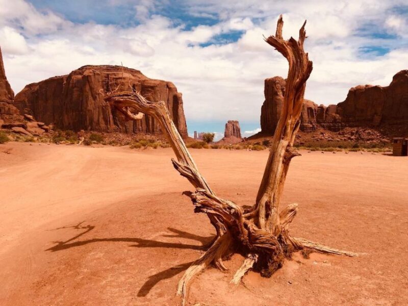 Monument Valley: 3-Hour Sunrise Tour with Navajo Guide - Who Will Love This Tour?