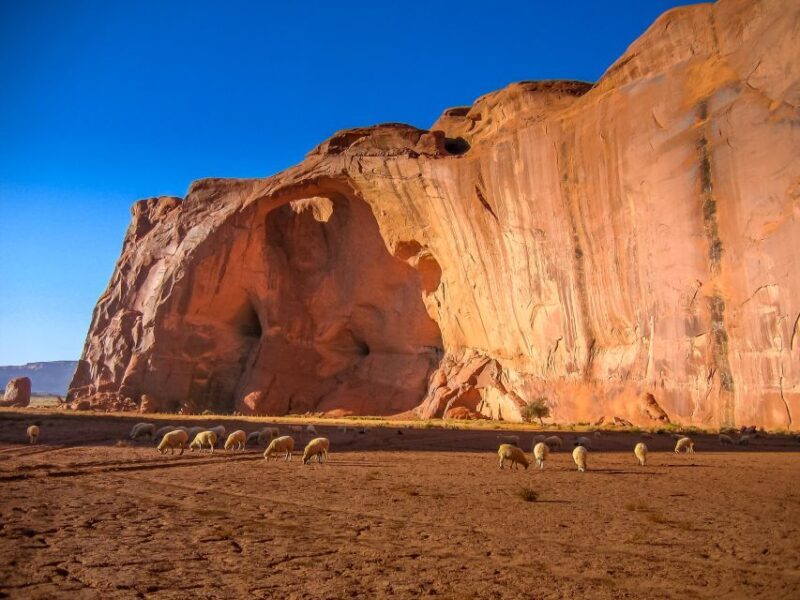 Monument Valley 4x4 Navajo Guided Tour - Discover Monument Valley on a Navajo-Guided 4x4 Tour