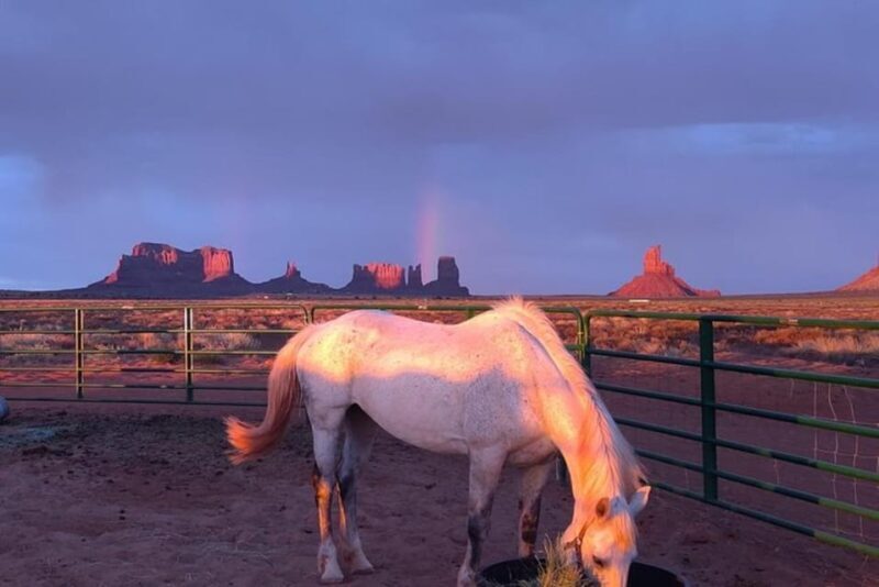 Monument Valley: Horseback Adventure Tour - An In-Depth Look at the Monument Valley Horseback Adventure