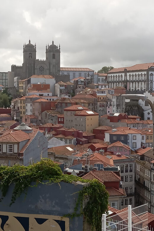 Monumental and historical Oporto with the Stock Exchange Palace - Why This Tour Offers Great Value