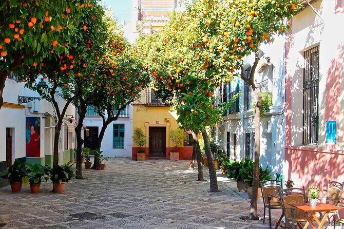 Monumental guided walking tour of the Santa Cruz district - Key Points