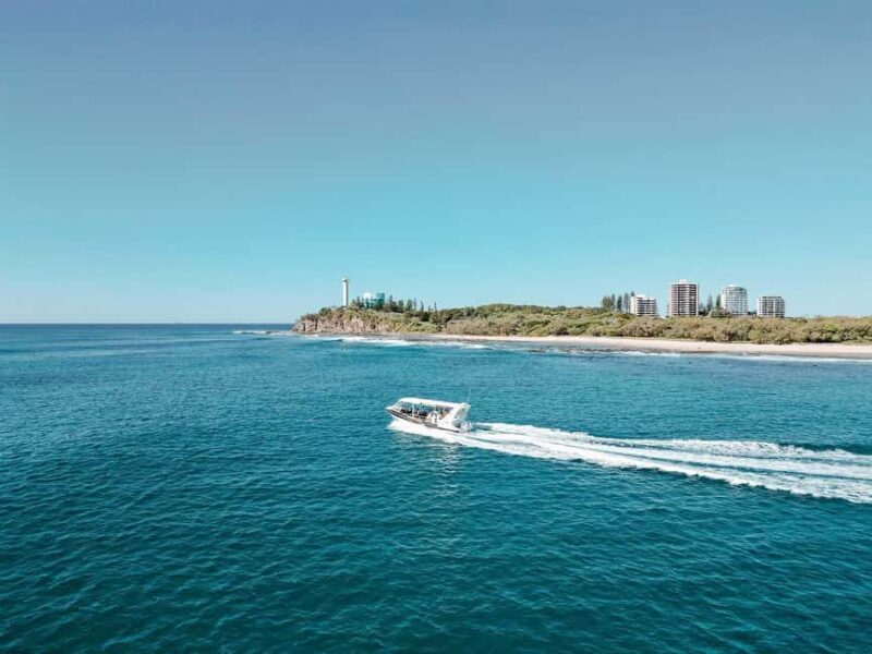Mooloolaba: 2-Hour Whale Watching Adventure - FAQ