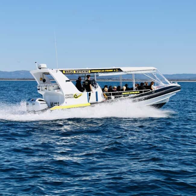 Mooloolaba: Whale Watching Cruise - The Value of a Small, Speedy Boat