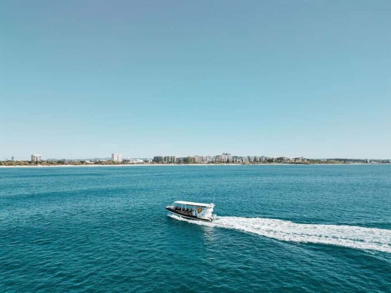 Mooloolaba: Whale Watching Cruise - The Human Element: Knowledgeable and Enthusiastic Guides