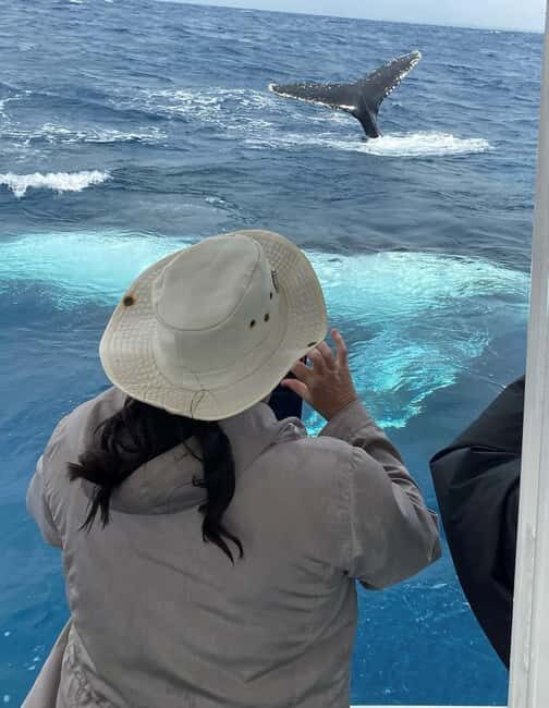 Mooloolaba: Whale Watching Cruise - Final Thoughts