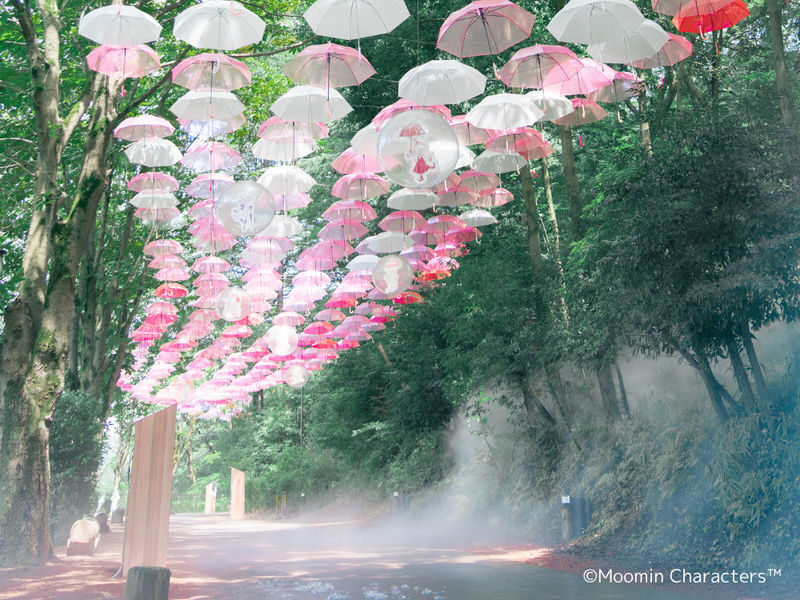 Moominvalley Park Ticket in Hanno - The lake, paths, and changing seasons