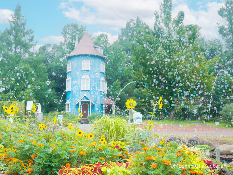 Moominvalley Park Ticket in Hanno - Food, shops, and Metsä Village