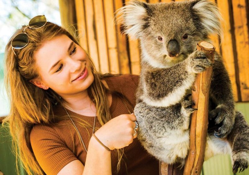 Moonlit Sanctuary Conservation Park Entry Ticket - Key Points