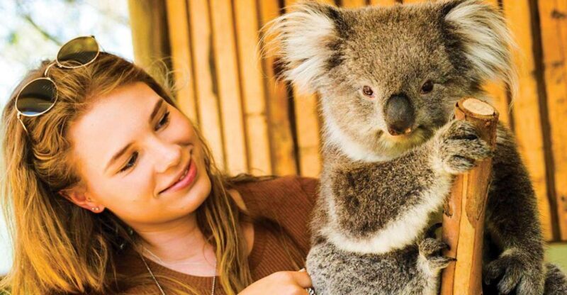 Moonlit Sanctuary Conservation Park Entry Ticket - The Value of Your Visit