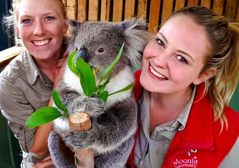Moonlit Sanctuary Conservation Park Entry Ticket - Who Will Love Moonlit Sanctuary?