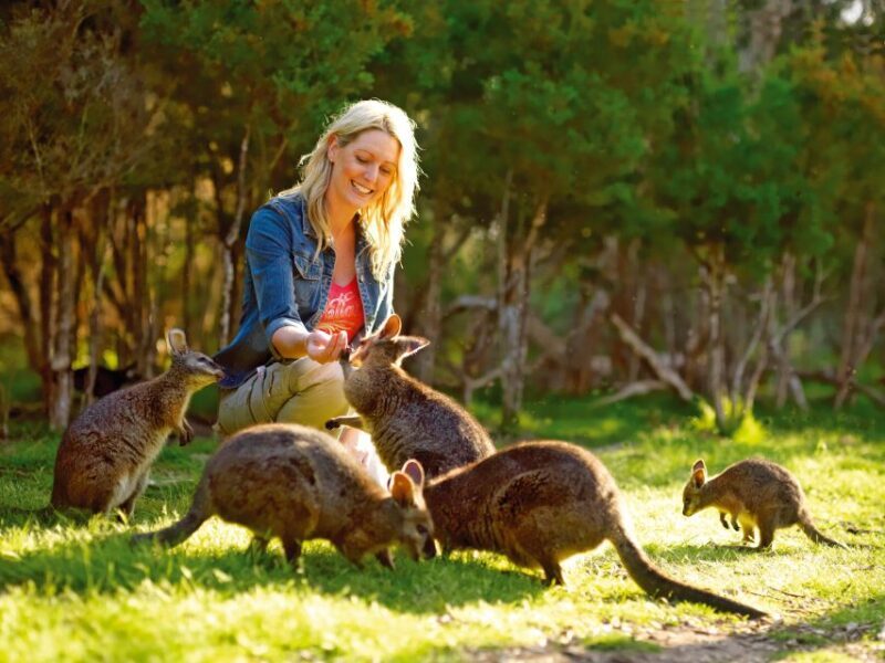 Moonlit Sanctuary Conservation Park Entry Ticket - The Sum Up