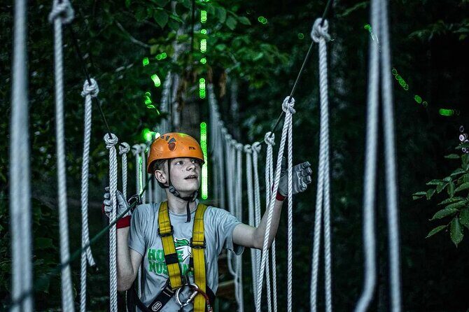 MoonTrek Nighttime Aerial Adventure - What is the MoonTrek Nighttime Aerial Adventure?