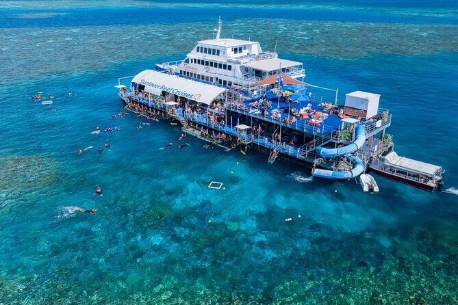 Moore Reef Day Tour with Dive from Cairns - Exploring the Moore Reef Day Tour with Dive