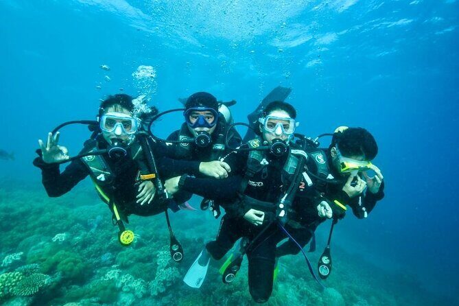 Moore Reef Day Tour with Dive from Cairns - Frequently Asked Questions