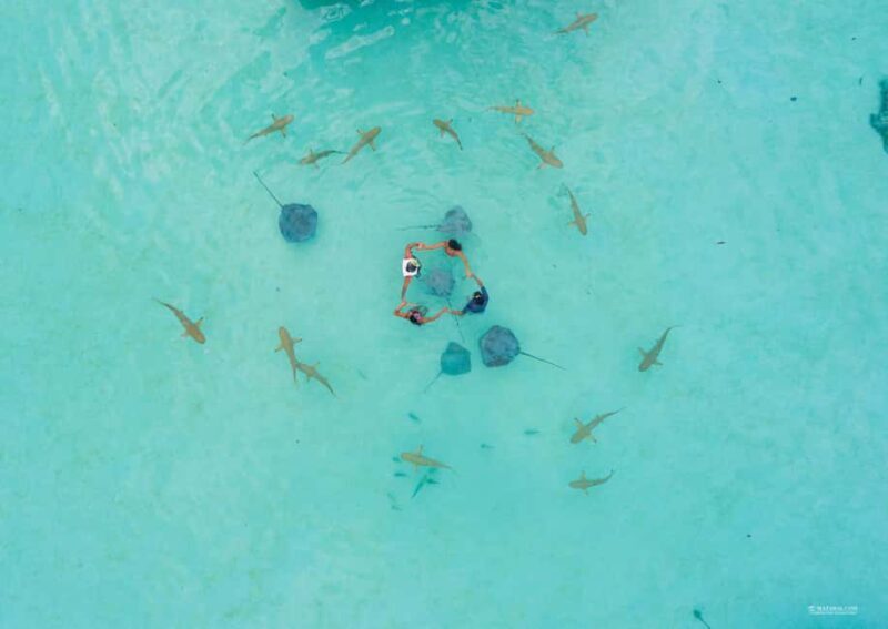 MOOREA 6H Private boat tour whales watching and Lunch - Moorea 6-Hour Private Boat Tour: Whales Watching and Lunch